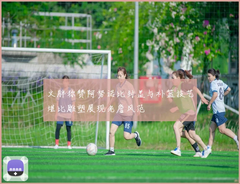 文胖称赞阿努诺比封盖与补篮技艺堪比雕塑展现老詹风范