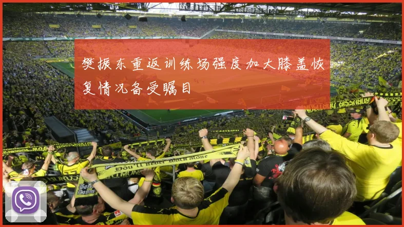 樊振东重返训练场强度加大膝盖恢复情况备受瞩目